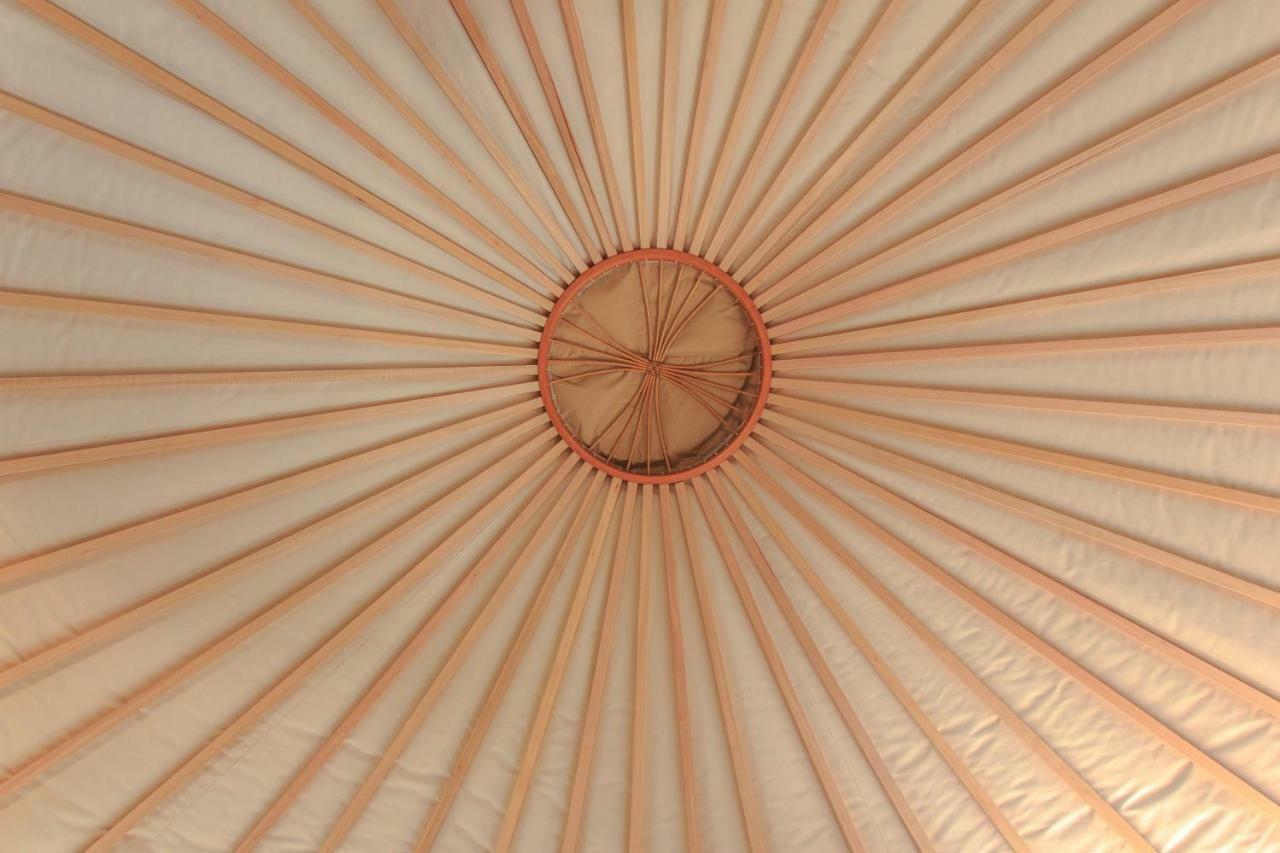 Hôtel The Yurt Wai Rua à Whangarei Extérieur photo